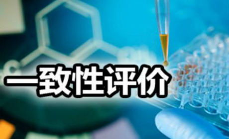 藥品一致性評價(jià)