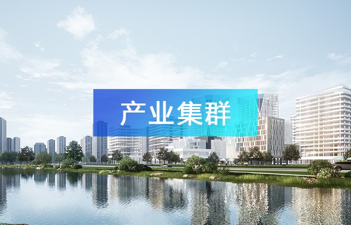 善用產業鏈招商，推動產業集聚，打造產業集群發展！